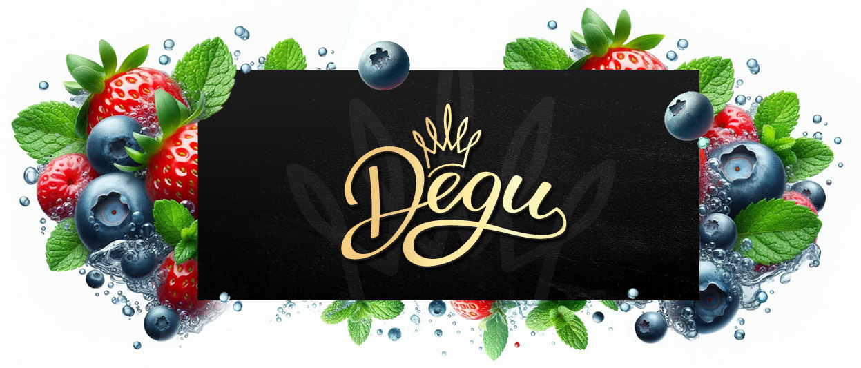 degu_header_kategorie_WEB